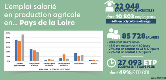 Pays de la Loire - Parution de l’Observatoire de l’emploi salarié en production agricole