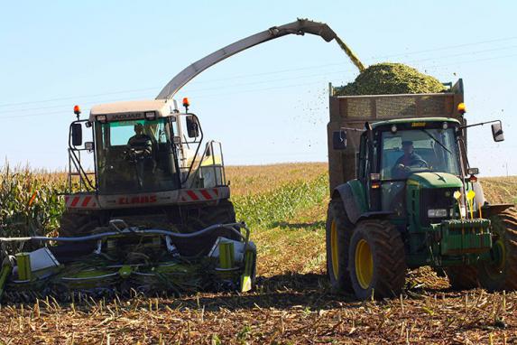 Loire-Atlantique - Maïs ensilage : une récolte 2018 hétérogène 