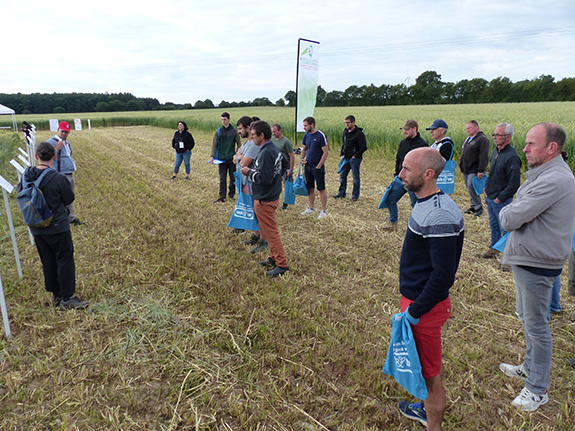 Loire-Atlantique - Trucs et astuces en agriculture biologique