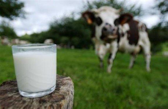 Pays de la Loire - Les producteurs de lait s'impatientent sur le prix !