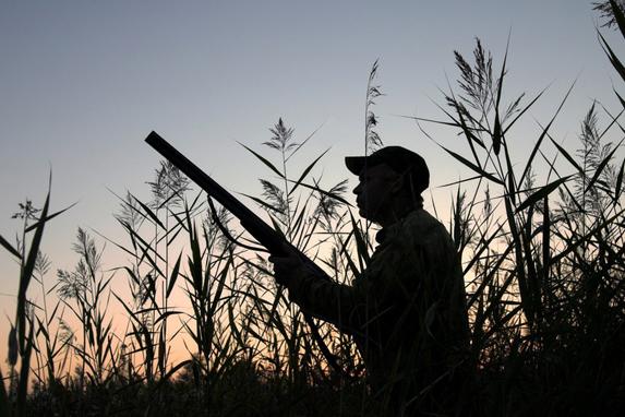 Le coÃ»t du permis de chasse nationale devrait être divisé par deux