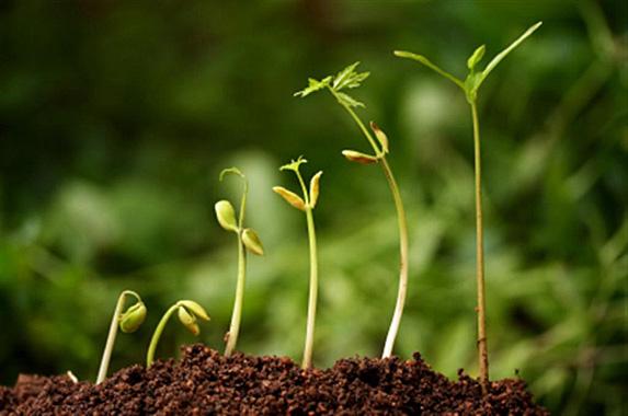 Syngenta veut construire une «vision commune de l’agriculture durable» d'ici 2019