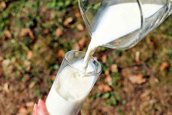 Lait - La collecte laitière européenne s'accroit