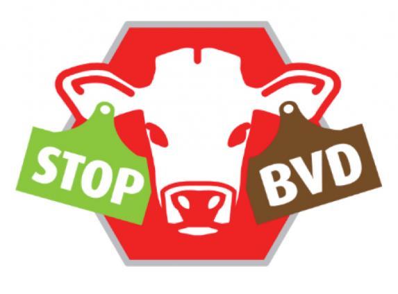BVD : la maladie devient réglementée pour viser l’éradication