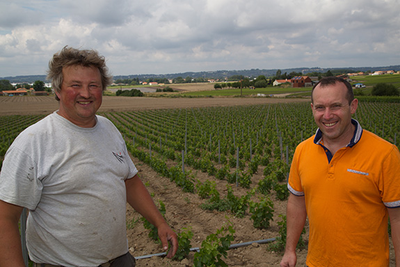 Loire-Atlantique - Redécouvrir le muscadet avec un vin Juste