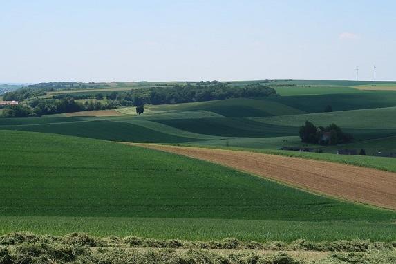 Loire-Atlantique - Charte d’engagements des utilisateurs de produits phytosanitaires : mise en concertation publique